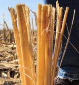 Снижение затрат на обработку почвы